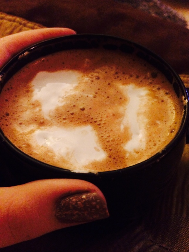 hot chocolate dsmmc1314
